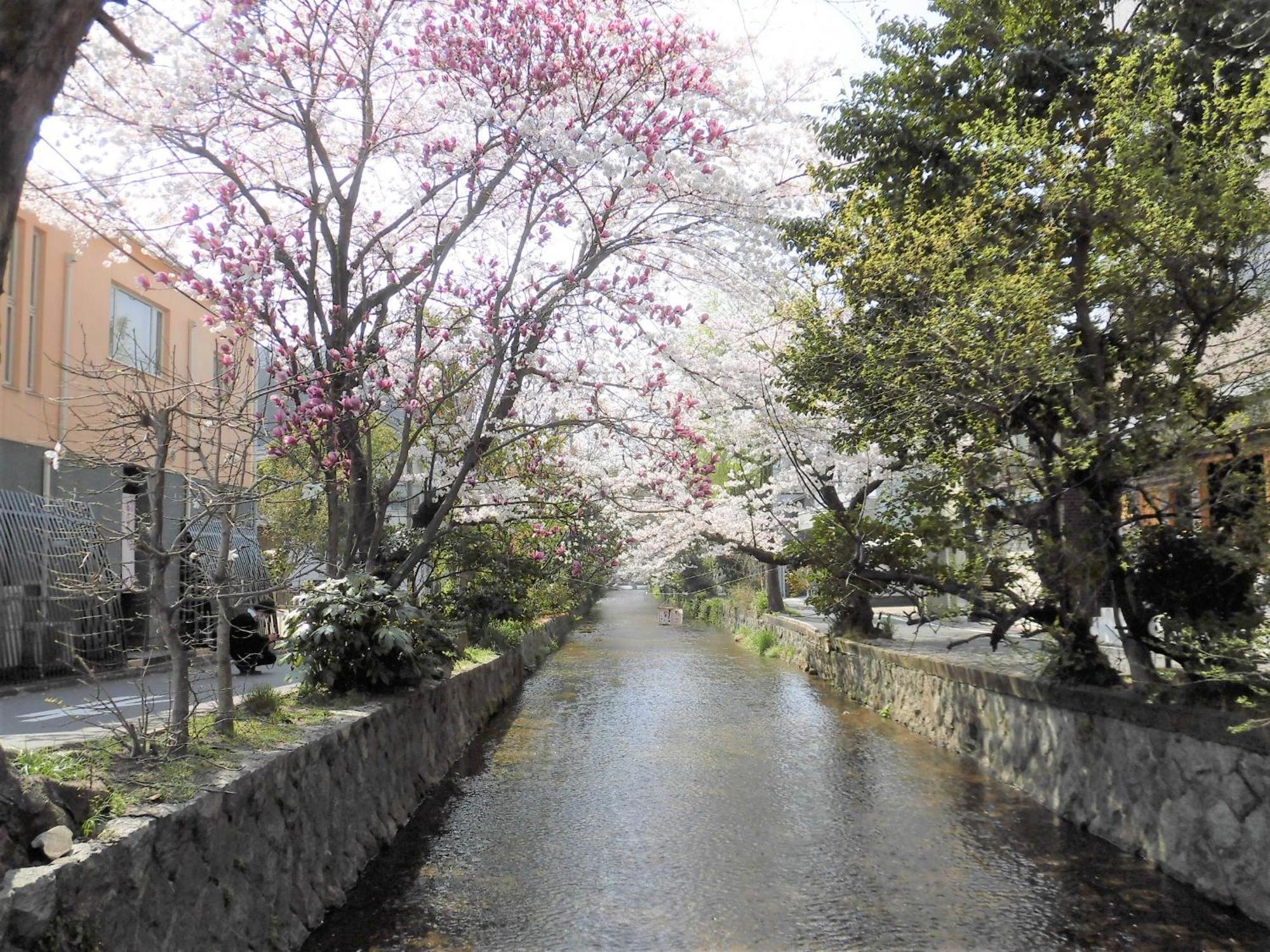 Hotel Il Verde Kyoto Exterior photo